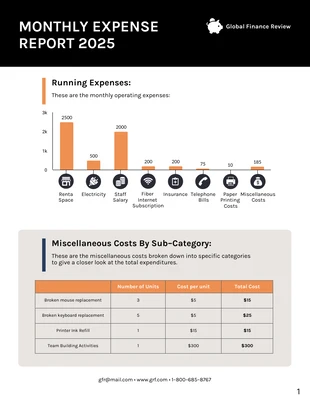 premium  Template: Expense Report Example Template