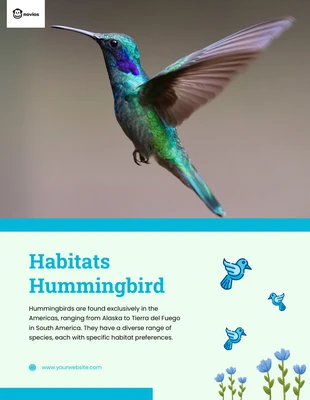 Free  Template: Hummingbird Habitat Flyer Template