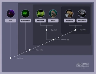 business  Template: Cladogram of Animals Template