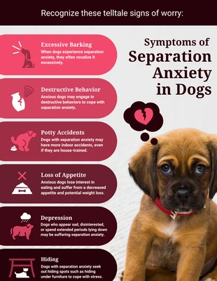 business  Template: Dog Anxiety Symptoms Infographic Template