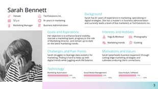 Pastel Pink Gradient Business User Persona Presentation - Page 3