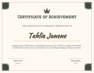 business  Template: Outstanding Performance Achievement Certificate Template