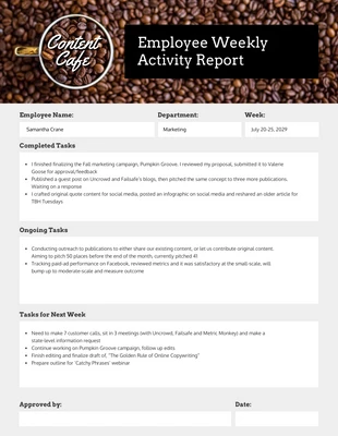 premium  Template: Simple Employee Weekly Report Example Template