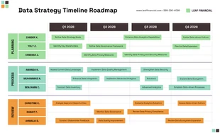 business  Template: Light Data Roadmap Template