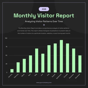 Free  Template: Monthly Visitor Report Histogram Charts Template