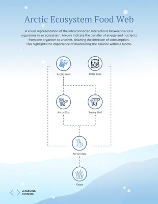 premium  Template: Blue Arctic Ecosystem Food Web Diagram Template