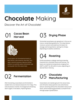 Free  Template: Chocolate Making Process Infographic Template