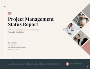 business  Template: Management Report Template