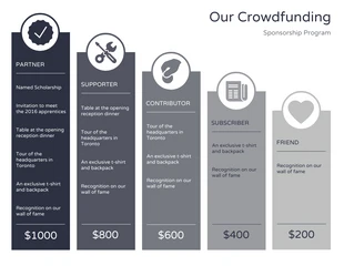 business  Template: Crowdfunding Informational Sponsorship Chart Infographic Template