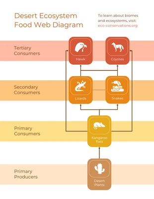 business  Template: Warm Desert Biome Food Web Diagram Template