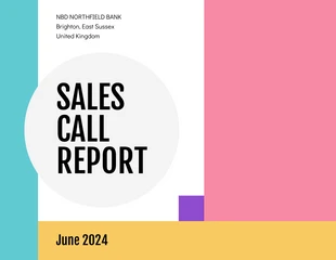 Free  Template: Color Block Sales Call Report Template