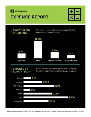 premium  Template: Basic Expense Report Template Template