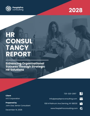 Free  Template: Consulting Report Template