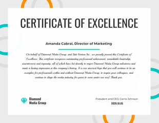 premium  Template: Certificate of Excellence Template