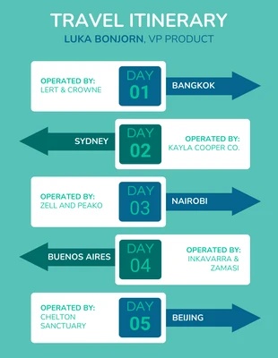 Free  Template: World Business Travel Itinerary Template