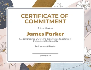 Free  Template: Abstract Environmental Sustainability Award Certificate Template