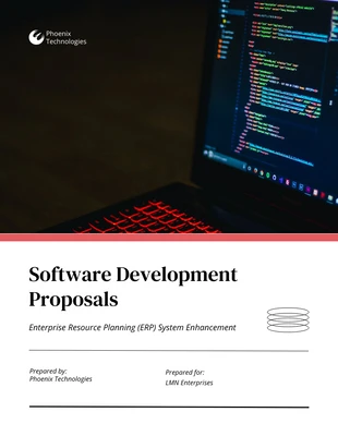 Free  Template: Software Development Proposal Template