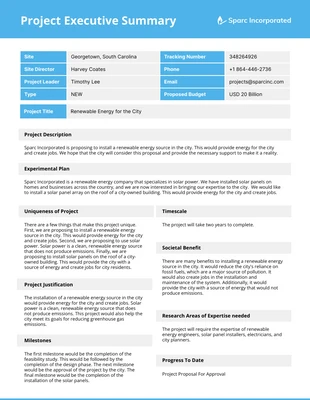 business  Template: Minimalist Summary Template