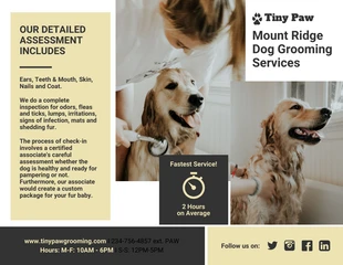 Free  Template: Free Dog Grooming Service Flyer Template