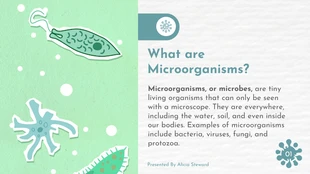 Simple Cute Colorful Microorganism Animated Presentation - Page 2