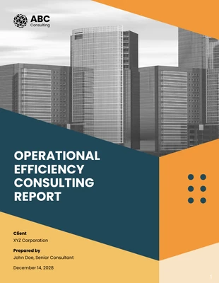 Free  Template: Operational Efficiency Consulting Report Template