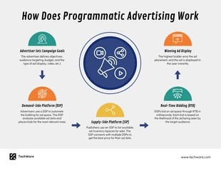 business  Template: Programmatic Advertising Informational Infographic Template