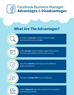 premium  Template: Facebook Business Manager Infographic Template