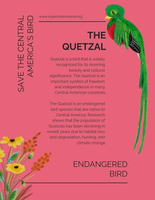 Free  Template: Vintage Retro Style Save Endangered Birds The Quetzal Template