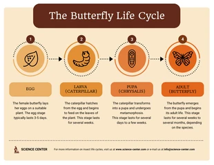 business  Template: Lifecycle Infographic Template