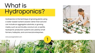 Simple White and Yellow Hydroponic Program Presentation - Page 2