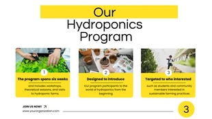 Simple White and Yellow Hydroponic Program Presentation - Page 4