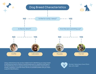 Free  Template: Free Dichotomous Key Example Diagram Template