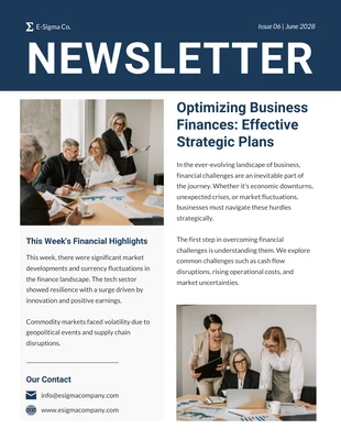 business  Template: Business Finance Newsletter Template