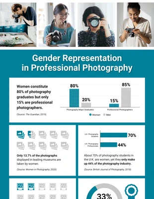 business  Template: Gender Ratio In Professional Photography Infographic Template