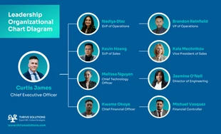 business  Template: Leadership Organizational Diagram Template