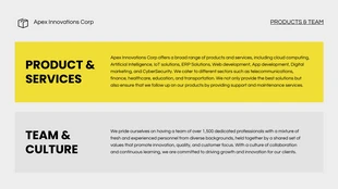 Simple Grey And Yellow Company Presentation - Page 3