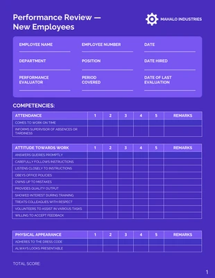 premium  Template: Work Performance Review Examples Template