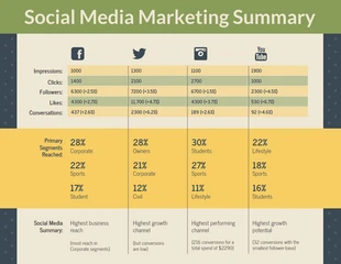 business  Template: Social Media Marketing Summary Infographic Template