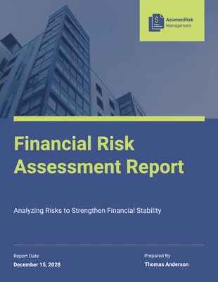 business  Template: Financial Risk Assessment Report Template