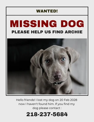 Free  Template: Gallery Missing Dog Flyer Template