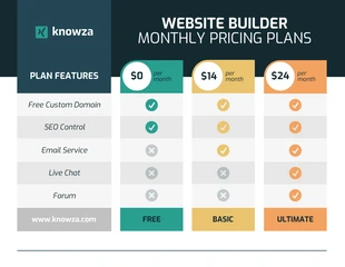 premium  Template: Website Monthly Plan Comparison Infographic Template