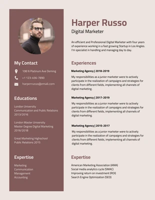 Free  Template: Simple Aesthetic Color Creative Resume Template