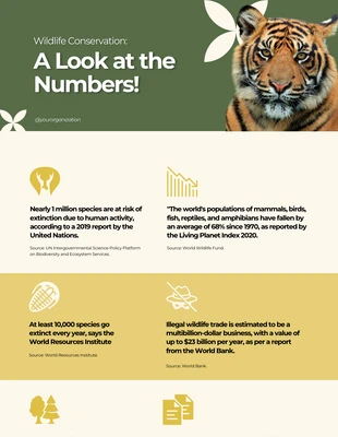 Free  Template: Wildlife Infographic Template