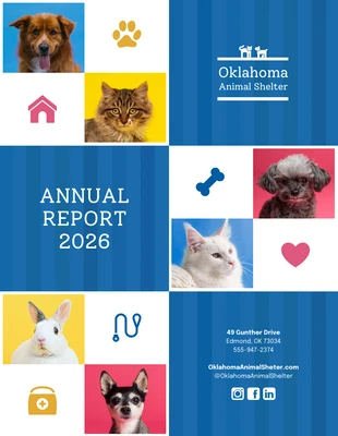 Free  Template: Colorful Nonprofit Annual Report Template