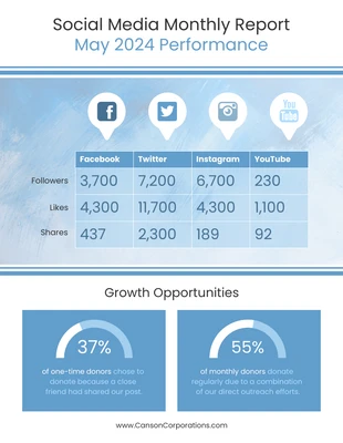 Free  Template: Sample Social Media Monthly Report Template