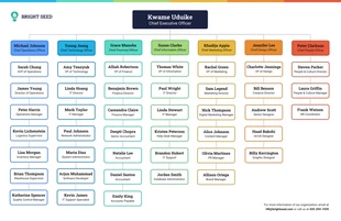 business  Template: Enterpise Organization Chart Diagram