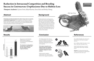 Free  Template: Impact of Habitat Loss on Bird Breeding Research Poster