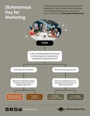 Free  Template: Marketing Dichotomous Key Diagram Template