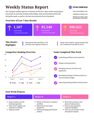 Free  Template: Weekly Report Example Template