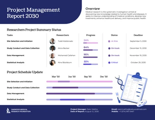 business  Template: Project Management Report Template